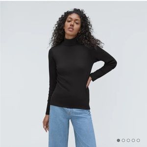 Everlane Pima microrib turtleneck